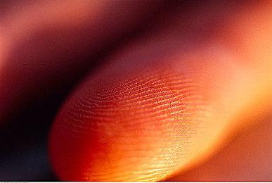 《全面战争：战锤3》纳垢与色孽预告 近在咫尺永不满足